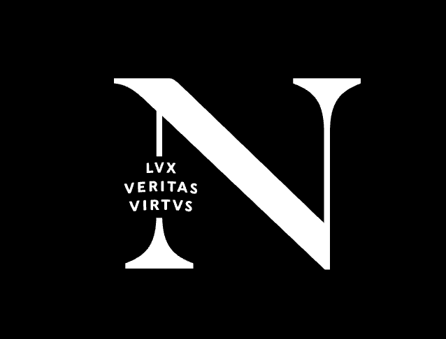 National Internet Observatory, Northeastern University logo